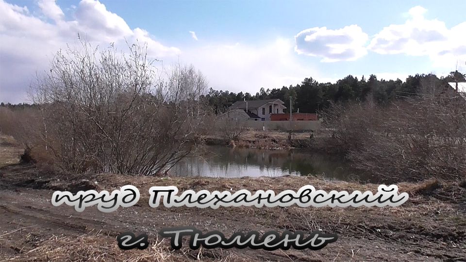 Пруд Плехановский. В ожидании чуда. Тюмень. Май 2019 г.