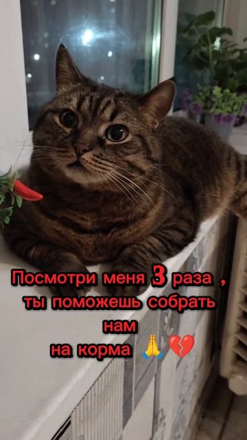 ЯШЕНЬКА 🙏