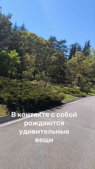 С самим собой