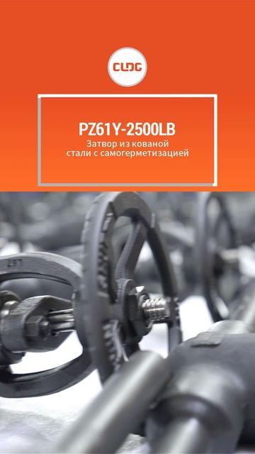 PZ61Y-2500LB Стальной задвижковый клапан с ковкой и самоуплотнением-CLDG