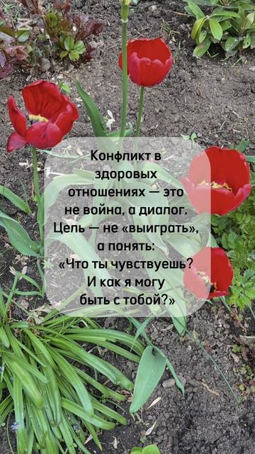 #shorts #любовь #любовьиотношения #психология #психологияжизни #психологияличности