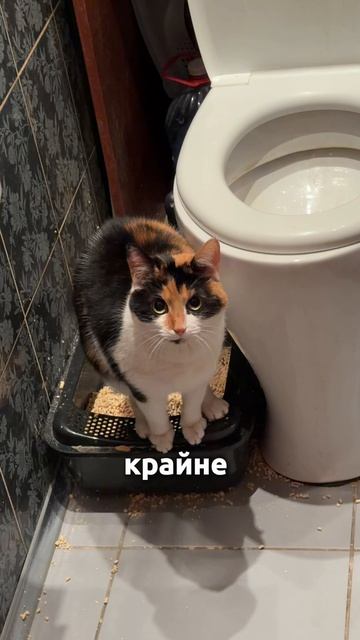 Она так смотрела, что я не стала мешать и смирно стояла под дверью 😂🙈