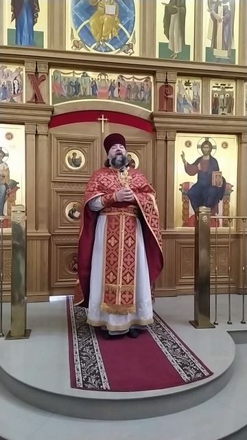 Неделя о слепом. О видении своих грехов. Проповедь о. Андрея. 17.5.26