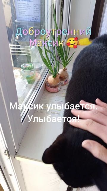 Доброутренний Максик
