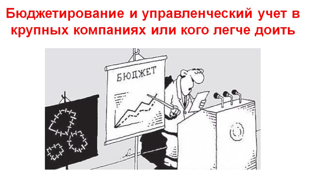 Бюджетирование и управленческий учет в крупных компаниях или кого легче доить