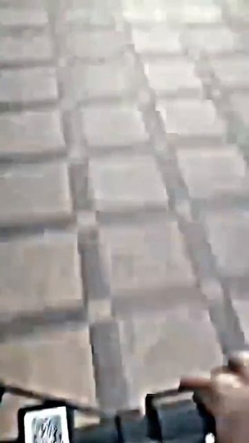А это порода кусается?