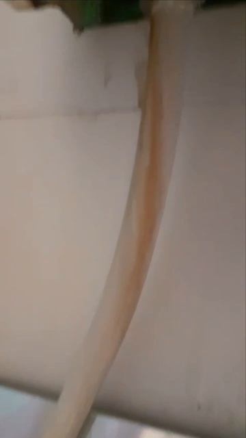 1000179609.mp4
