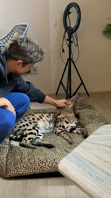 Сева Крюгер в эфиреДержит папу страхе, не дает расслабляться