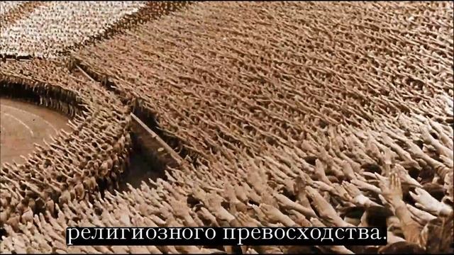 Без срока давности