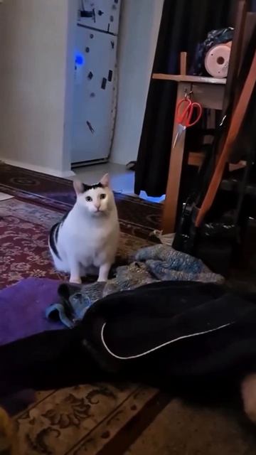 А вам что помогает держать себя в форме? 😄