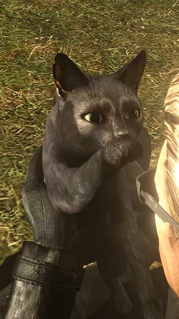 Wesker Vs Cats