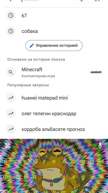 67 кот собака