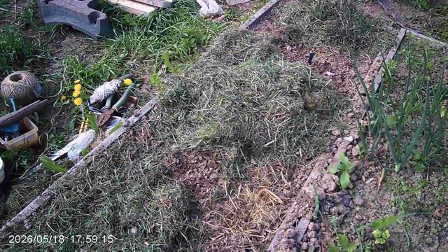 МУЛЬЧА В ДОМ (на грядки) СТРАШНО КРАСИВАЯ СОБАКА
