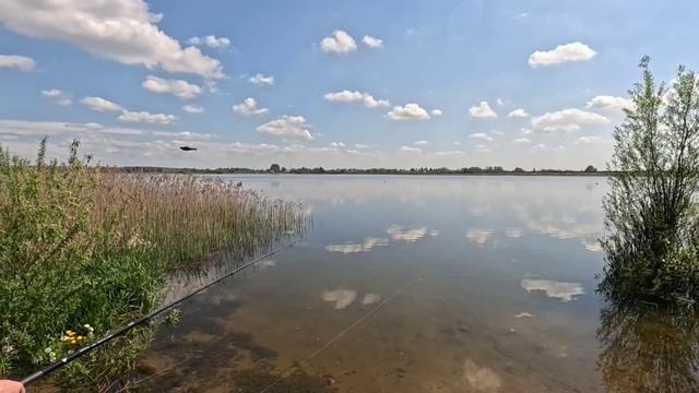 Петровичское водохранилище часть 3 #ActiveVibesBelarus #Минск #Беларусь #рыбалка #река
