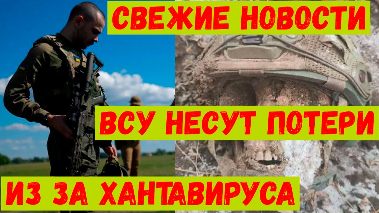 Свежие новости. Новости СВО.  В Киеве подтвердили распространение хантавируса среди боевиков ВСУ