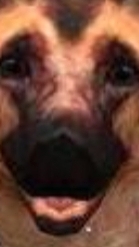 Эдит