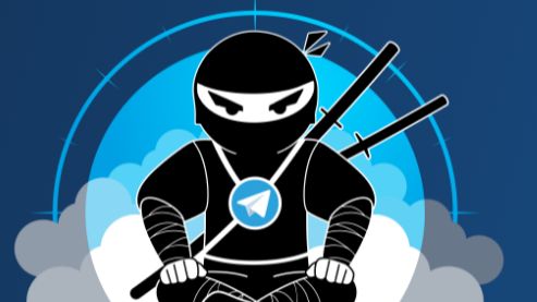 Урок 21. Тарифы и партнерская программа в TgNinja