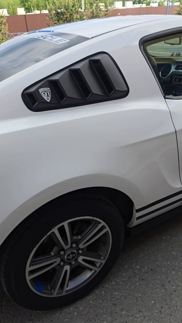 Ford Mustang 2010