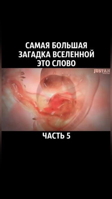 Самая большая загадка вселенной это Слово