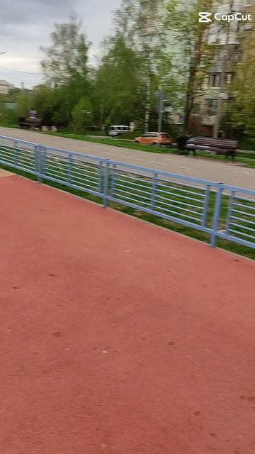 вот еще одно видео, там где мы гуляем с братом 💚