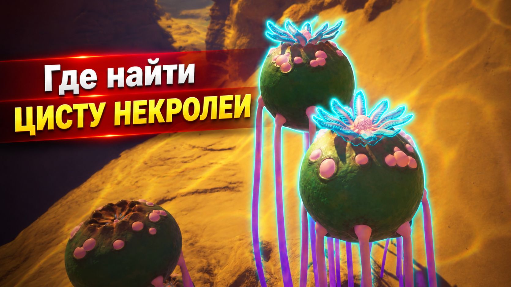 Где найти Цисту Некролеи в Subnautica 2