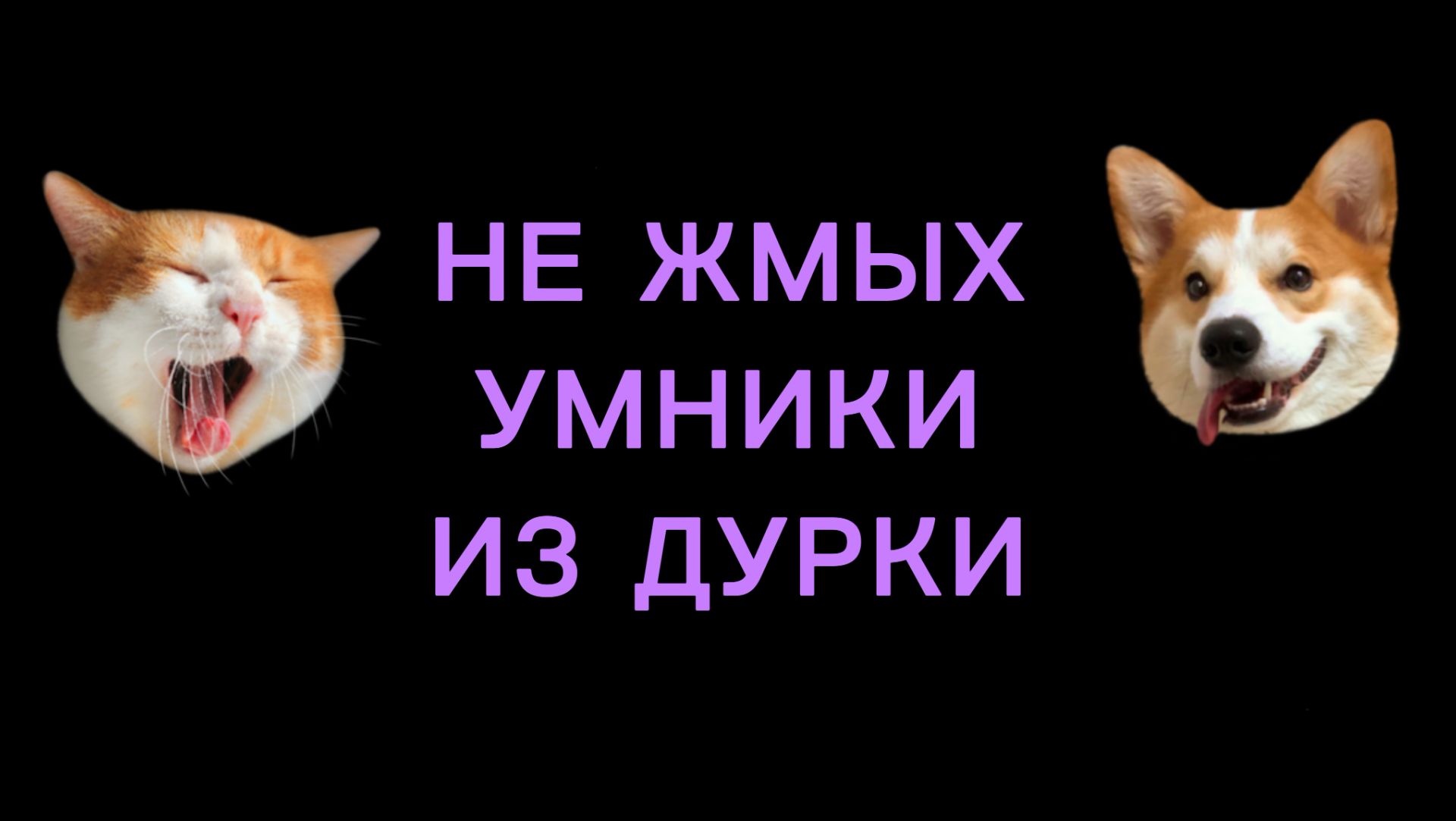 ЭТО НЕ ШУТКА ПОМОГИТЕ