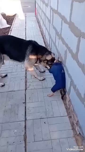 Махалово! Боря и Грея.