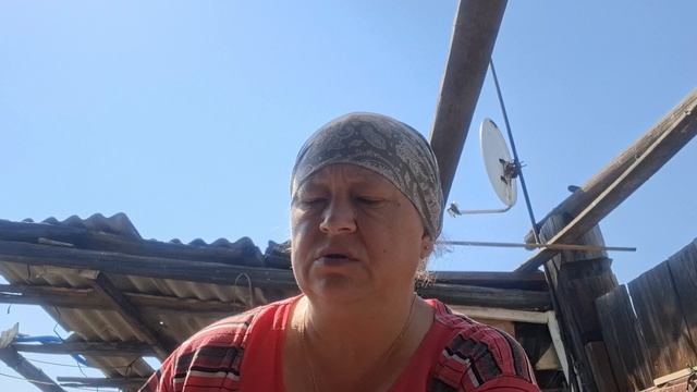 подстригла собачух  19.05.26
