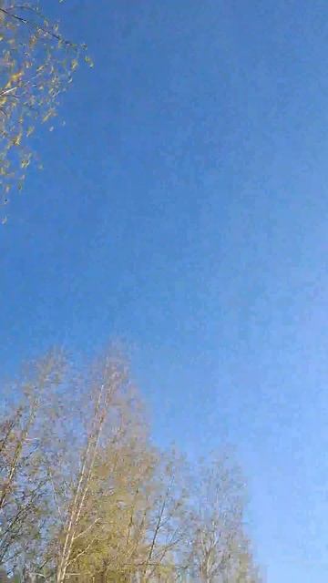 Майское солнце