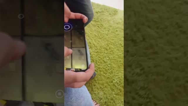 главный бухгалтер ООО
