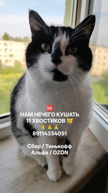 ХОТИМ КУШАТЬ 🙏