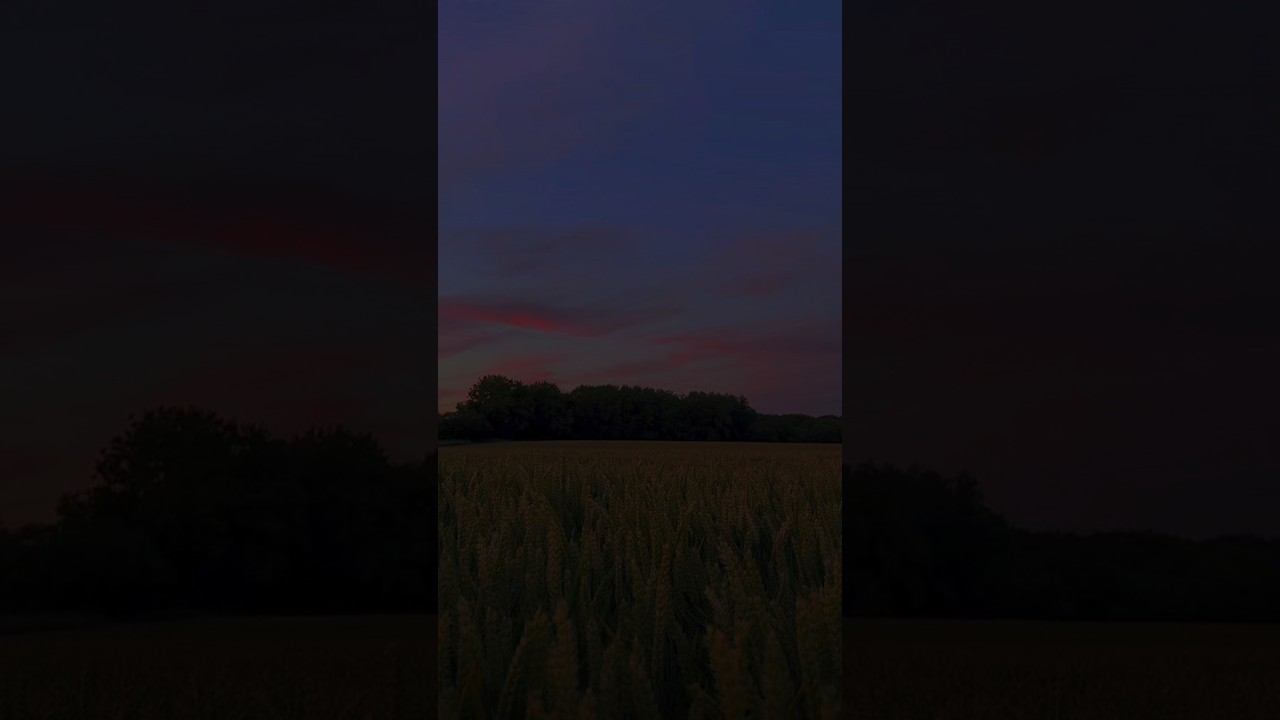 Махди аш-Шишани. Сура 2 Аль-Бакара (45-46)