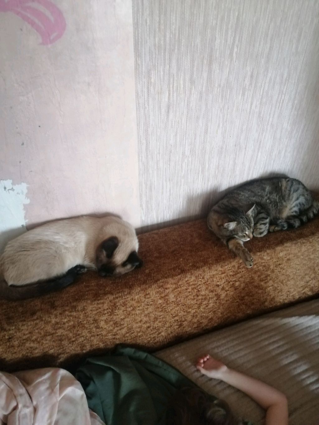 ещё стрим от меня!!!