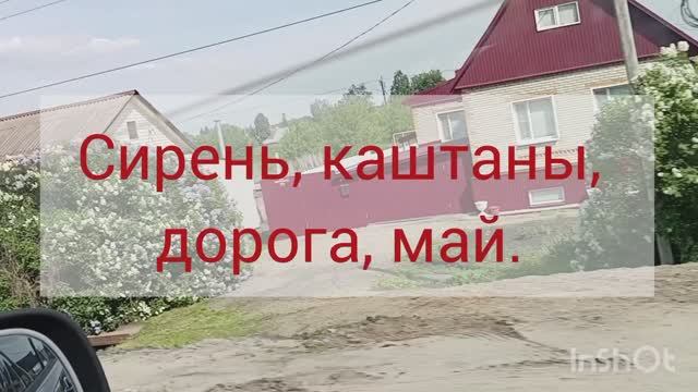Сирень, каштаны, дорога, май.
