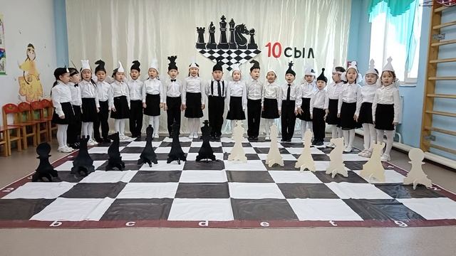VID_20241108_110849