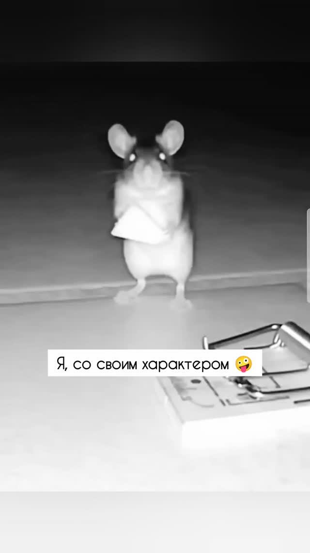Мой характер 😁
