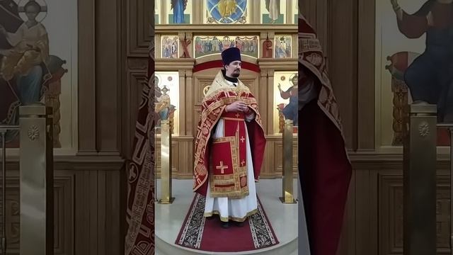Беседа о свете и тьме. Верить во свет, чтобы быть сынами света. Проповедь о. Вячеслава. 20.5.26