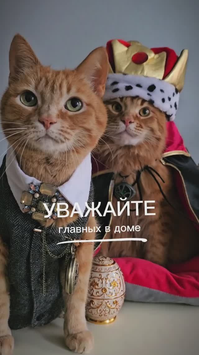 Уважайте главных в доме