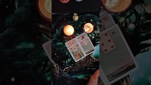 637.mp4