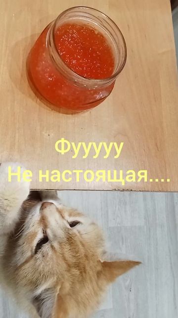 1000046698.mp4