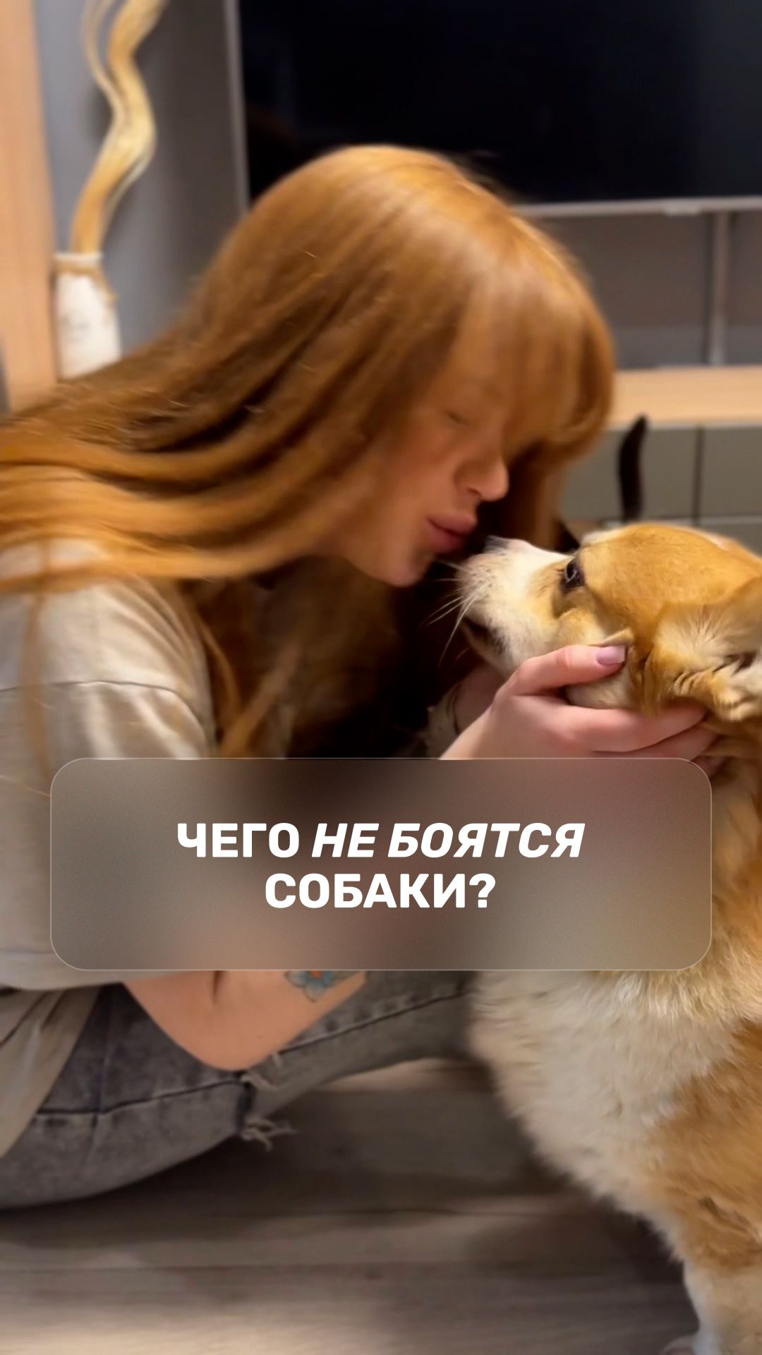 C1ea80fac73d0d110f04a36e9ef8f6b7