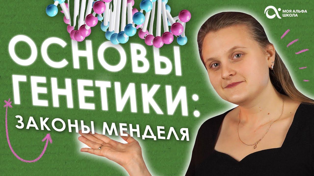 ЗАКОНЫ МЕНДЕЛЯ  биология простым языком