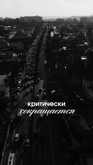 Боишься ЗАВАЛИТЬ ЕГЭ?😭 Это видео для тебя!