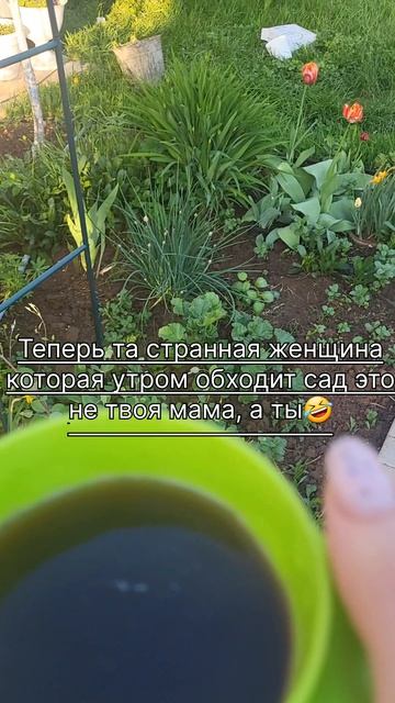 Странная женщина