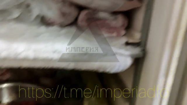 ИНСПЕКТОР и общежитие мигрантов ч. 2