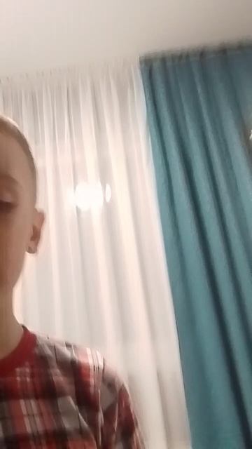 характер моего питомца