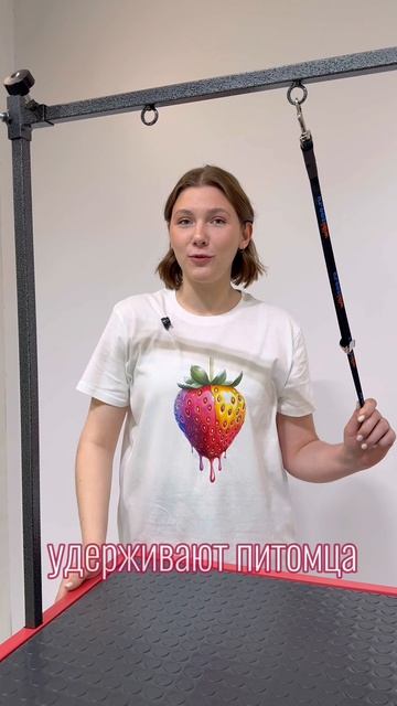 Стол для груминга электрический Клубничная помадка C розетками и органайзером