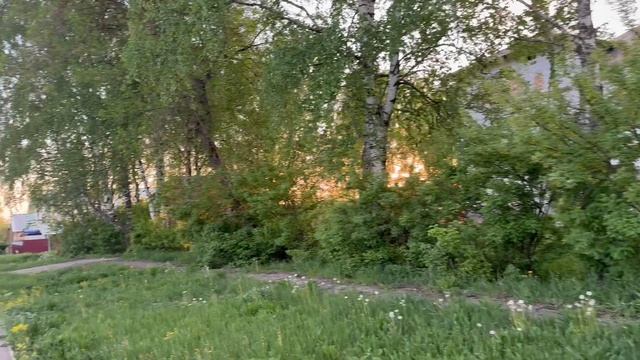 Гуляем вечером