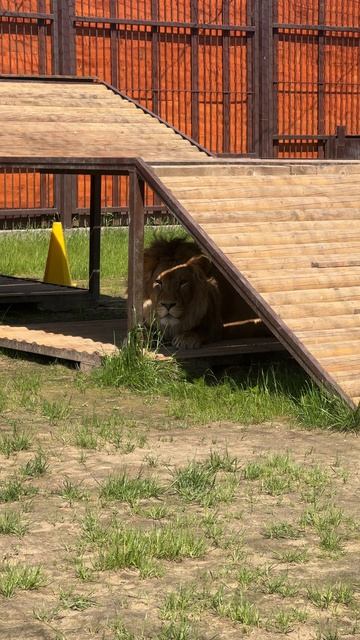 Бассейн есть, шезлонг с тенью тоже, несите мне коктейль