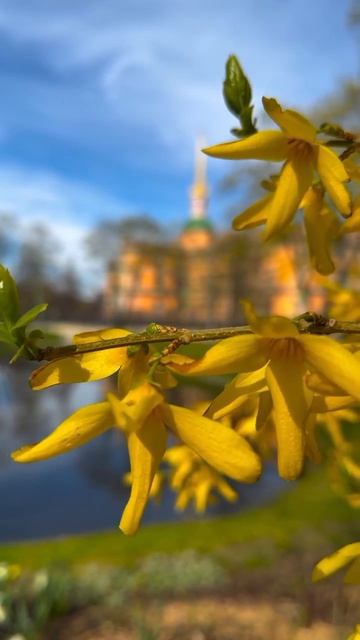Весна. Михайловский замок. #топ #весна #спб #питер #санктпетербург